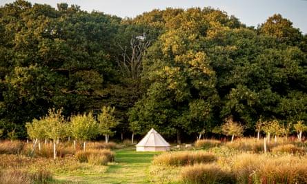 The Secret Campsite near Lewes, UK