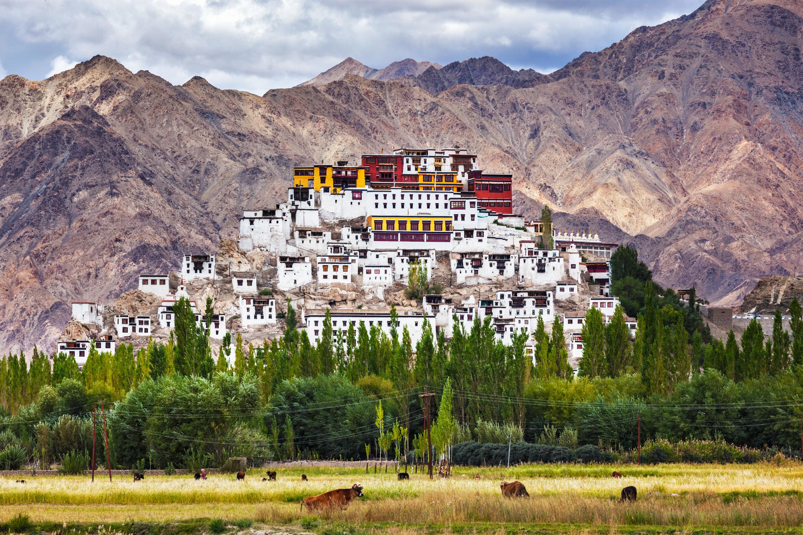 Nel monastero di Thikse, nell’estremo nord dell’India, i visitatori possono assaporare la cultura tibetana © Dmitry Rukhlenko / Shutterstock